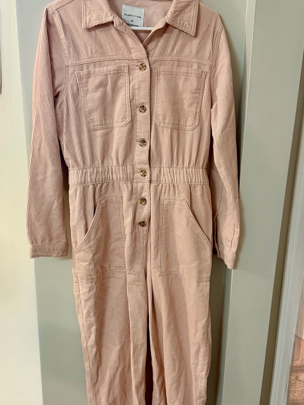 Celebrity Pink Dusty Pink Corduroy Button-Front Jumpsuit